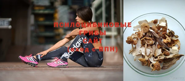 твердый Майский