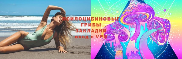 тгк Магас