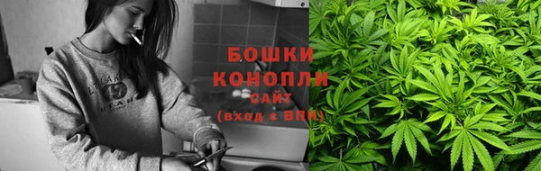 твердый Майский